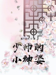 少帅的小神婆